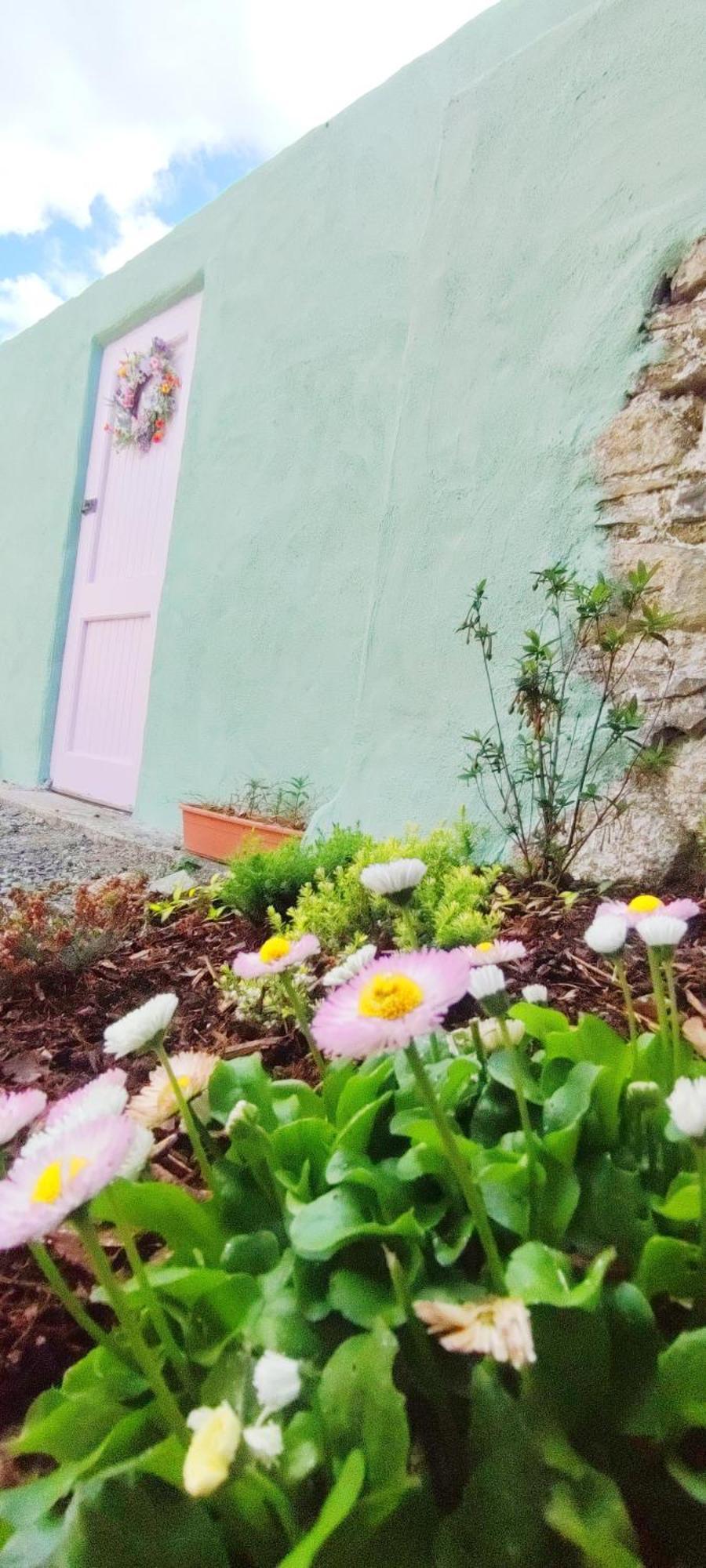 Unboring Holiday Let, Ballina, Mayo Ballina  Exterior foto